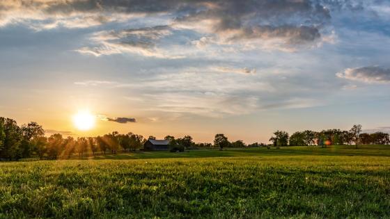 The sun rises over a grass pasture with a barn in the background
