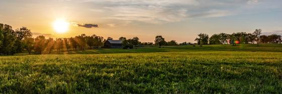 Sun over a farm field