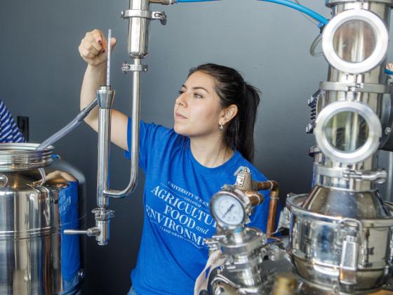 Woman in Beam Institute lab inspects still